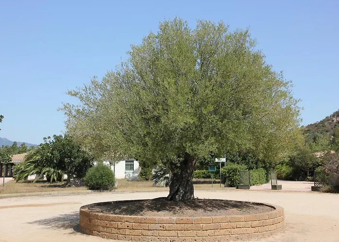 Le Vanille 酒店 3*